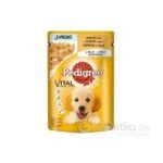 Mars PEDIGREE kapsička dog JUNIOR s kuracím mäsom&ryžou v želé 24x100g