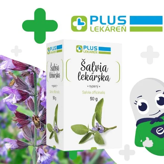 PLUS LEKÁREŇ Šalvia lekárska sypaná 50g