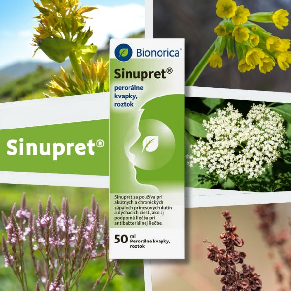Balenie Sinupret® kvapiek od Bionorica, obklopené obrázkami rôznych liečivých rastlín použitých vo výrobku. Konkrétne obrázky horca, prvosienky, kvetu bazy, železníka a štiavca.