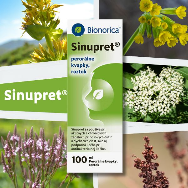 Balenie Sinupret® kvapiek (100 ml od Bionorica, obklopené obrázkami rôznych liečivých rastlín použitých vo výrobku. Konkrétne obrázky horca, prvosienky, kvetu bazy, železníka a štiavca.