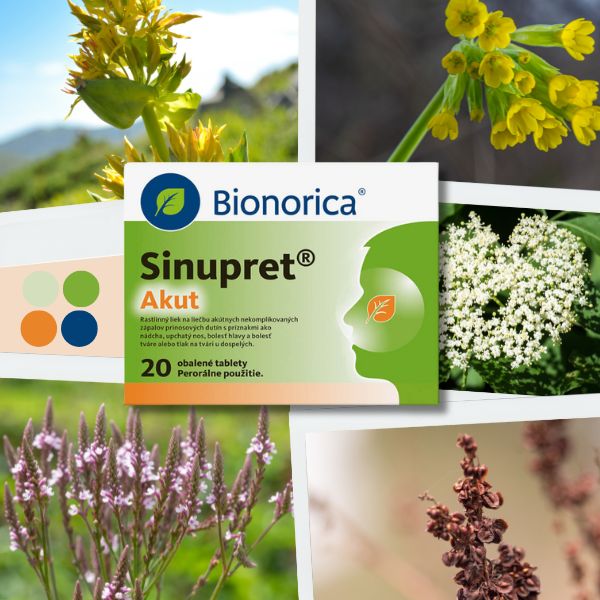 Balenie tabliet Bionorica Sinupret Akut na fotografii, položené na obrázkoch rôznych liečivých rastlín, konkrétne obrázkoch horca, prvosienky, kvetu bazy, železníka a štiavca.