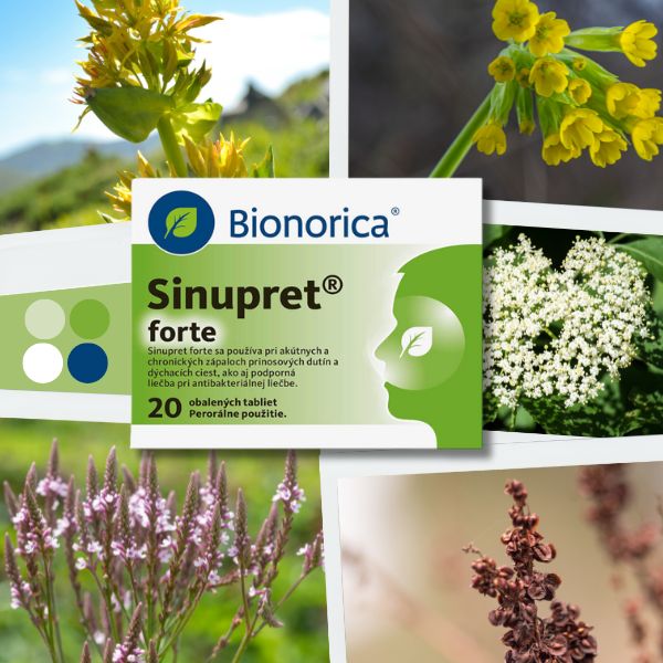 Balenie tabliet Bionorica Sinupret forte je umiestnené pred obrázkami rôznych liečivých rastlín, konkrétne pred obrázkom horca, prvosienky, kvetu bazy, železníka a štiavca.