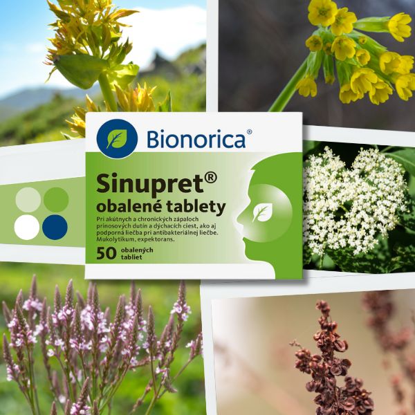 Krabička tabliet Bionorica Sinupret je zobrazená s fotografiami rôznych liečivých rastlín v pozadí, konkrétne s obrázkom horca, prvosienky, kvetu bazy, železníka a štiavca.
