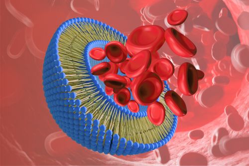 Enkapsulácia bioaktívnych látok doplnku NovoFerrin do formy lipozómov
