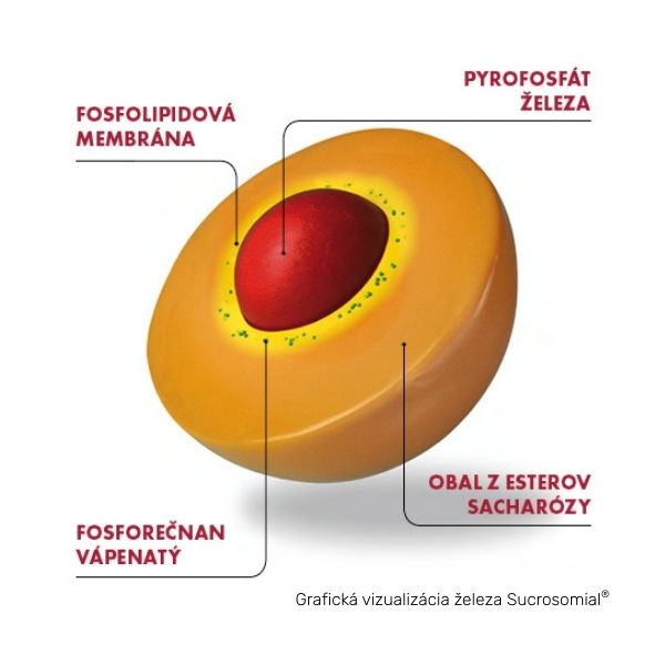 Grafická vizualizácia železa Sucrosomial®