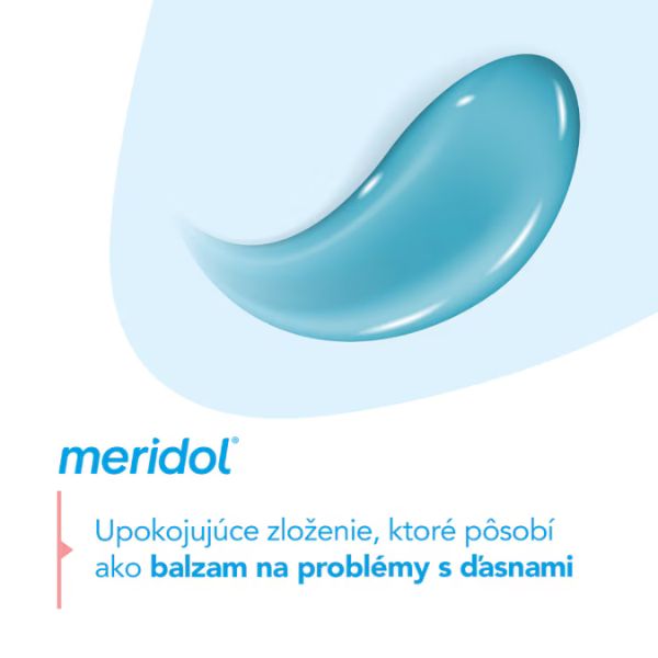 MERIDOL Gum Protection & Fresh Breath zubná pasta - zloženie