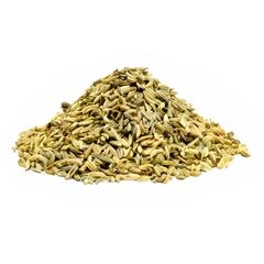 Fenikel (Foeniculum vulgare) plod