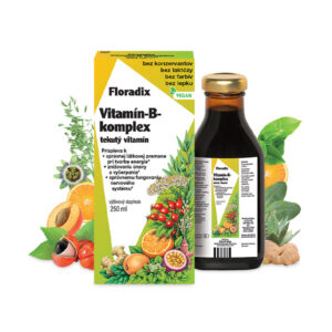 SALUS Floradix Vitamín-B-komplex tekutá forma 250ml