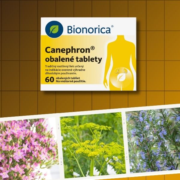 Balenie tabliet Bionorica Canephron s ilustráciami ženského tela a bylín, vedľa fotografií kvitnúcich liečivých rastlín ako zemežlč, ligurček a rozmarín