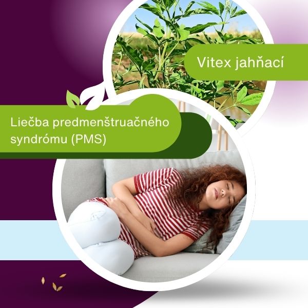  Žena leží na gauči s rukou na bruchu; nad ňou je obrázok listov Vitex agnus-castus s textom o liečbe PMS.